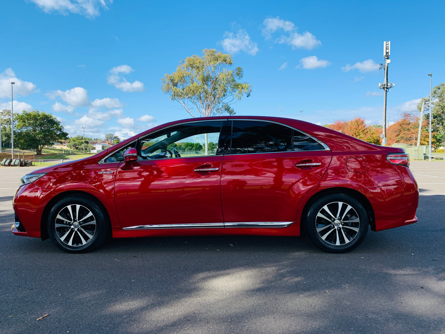 Toyota Corolla Sai HV